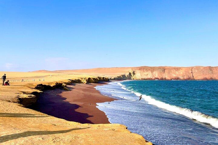 Paracas National Reserve by Tourist Bus