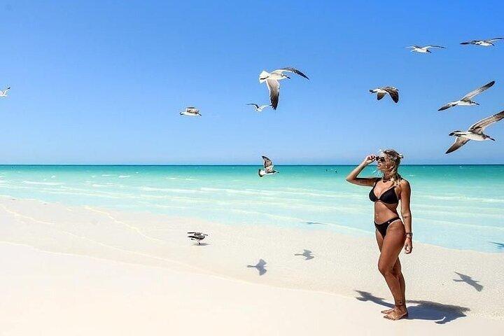 Tour in Holbox with Transportation and Lunch