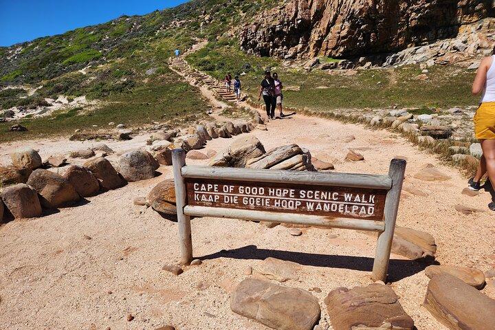 Half day Cape of good Hope, penguins from cape Town sharing group