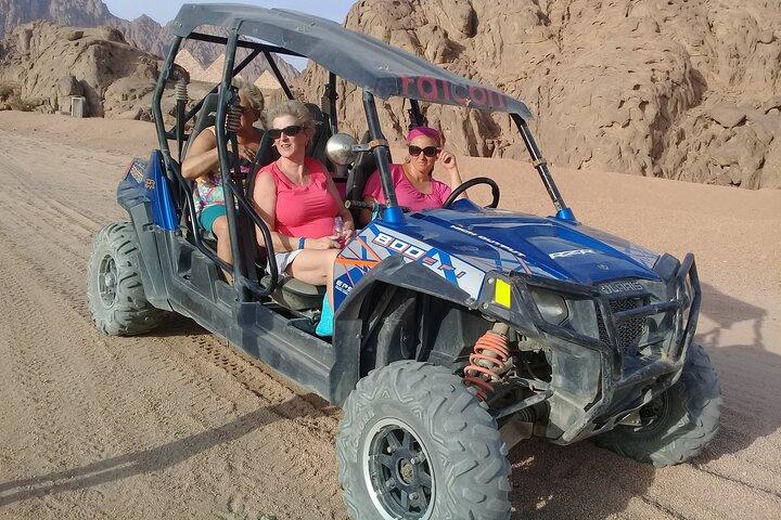 Desert Buggy Adventure with Camel Ride from Sharm El Sheikh