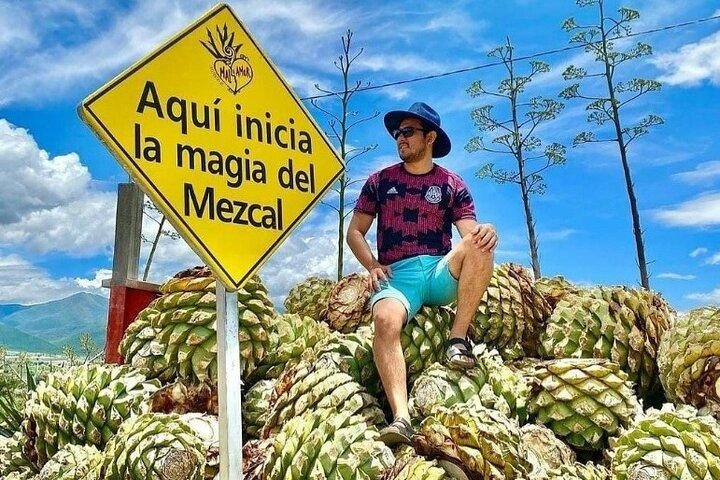 Distillery Tour and Agave Fields by Mal de Amor Mezcal