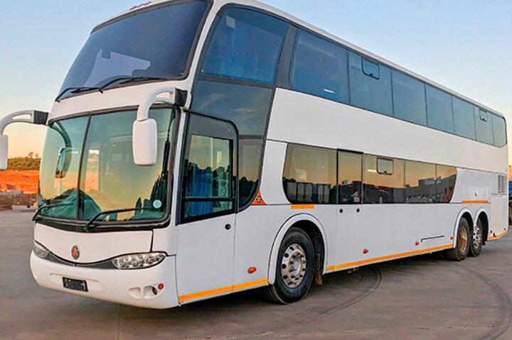 Private Transfer to Abu Simbel from Aswan and Return