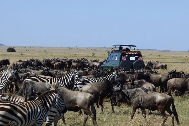 6 Day Best of Kenya and Tanzania Masai Mara Serengeti Ngorongoro