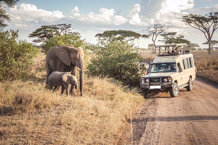 3 Days Maasai Mara Camping Safari on 4x4 Land Cruiser Jeep