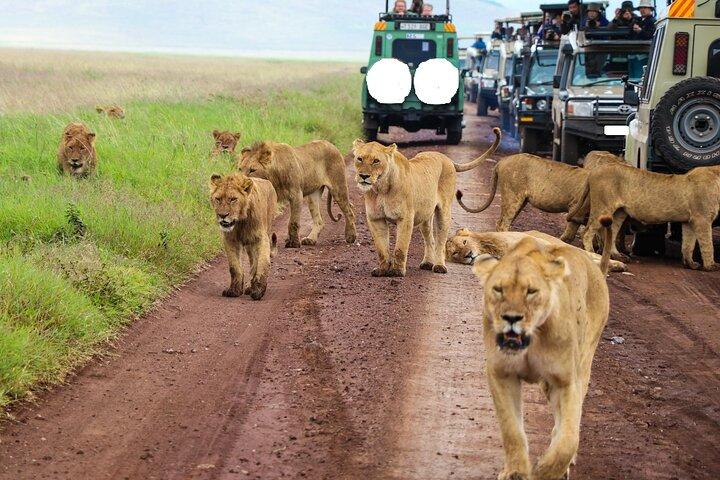9 Day Classic Kenya & Tanzania