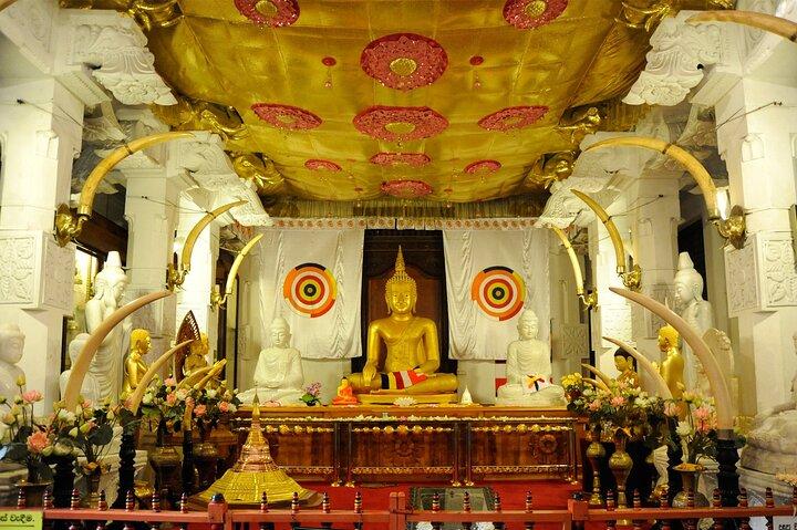 Private All Inclusive Day Tour to Kandy from Colombo and Negombo