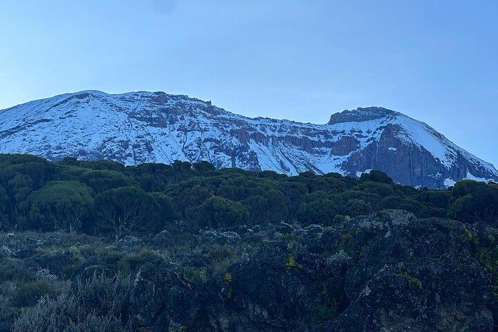 Kilimanjaro Day Hike from Arusha/Moshi | ISMANI TOURS AND SAFARIS