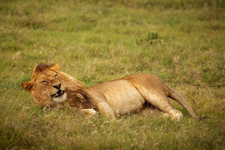 Adventure Day Trip to Ngorongoro Crater with Picnic Lunch