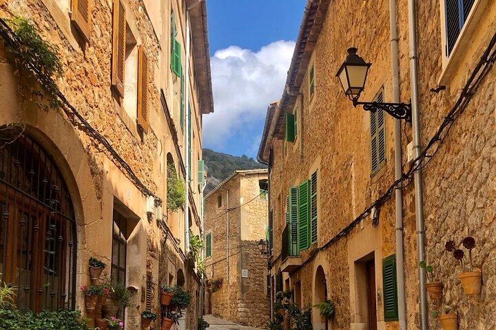 Valdemossa and Port of Soller Half Day Tour