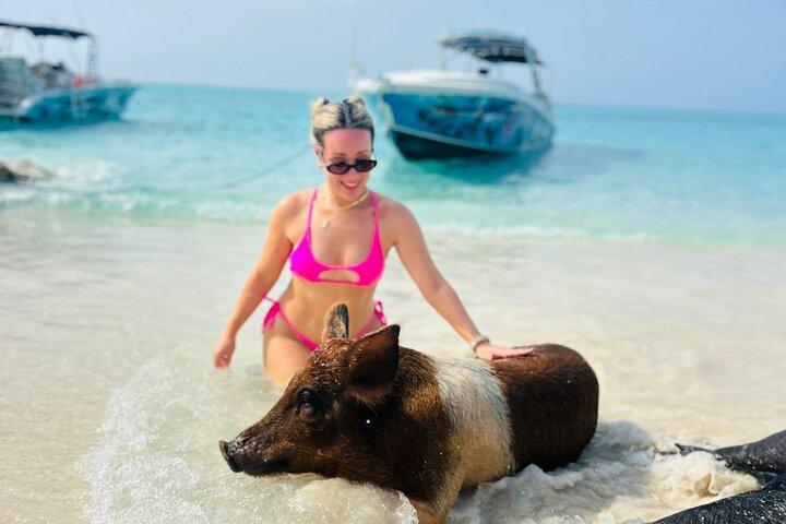 Perfect Day Swimming Pigs, Turtles, Reef Snorkel & Lunch