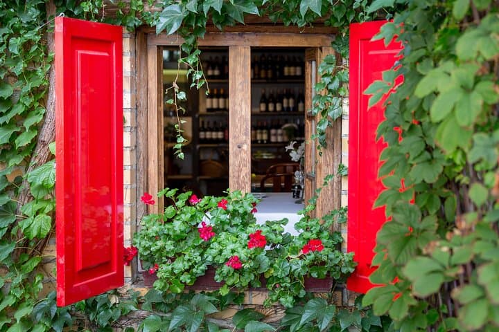 Tuscany & Assisi Small Group Day Trip from Rome with Wine Tasting