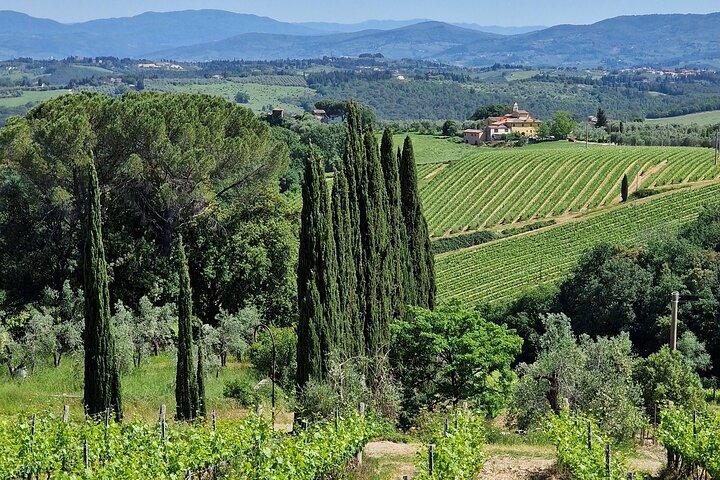 Private Wine Tour 2 top wineries of Chianti Classico Limo Service