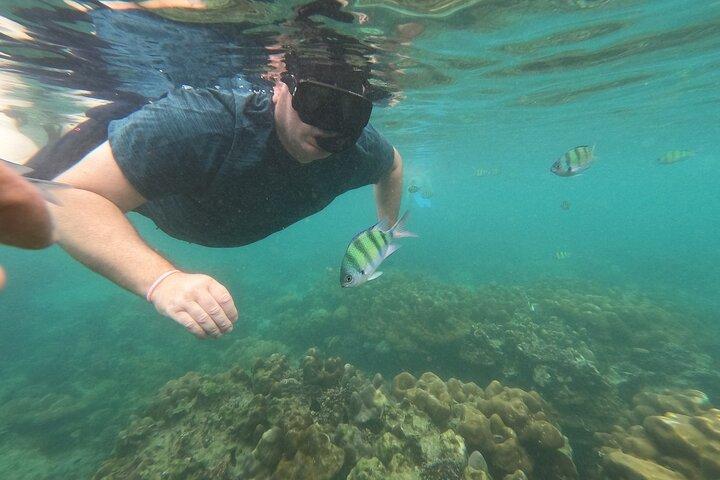 Maya Bay Phi Phi Island Snorkeling Day Tour with lunch - Phuket