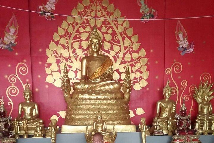 Big Buddha &Tiger Park & Monkey Hill ViewPoint & Phuket Old town