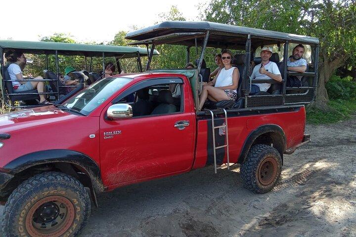 Private Yala Safari Tour from Colombo/Negombo (Leopard Safari)