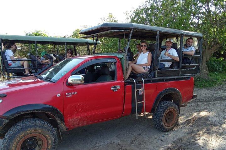 Private Wilpatu National Park Leopard safari from Colombo/Negambo