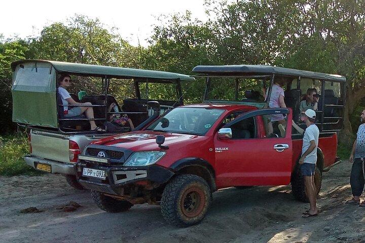 Private Wilpatu National Park Leopard safari from Colombo/Negambo