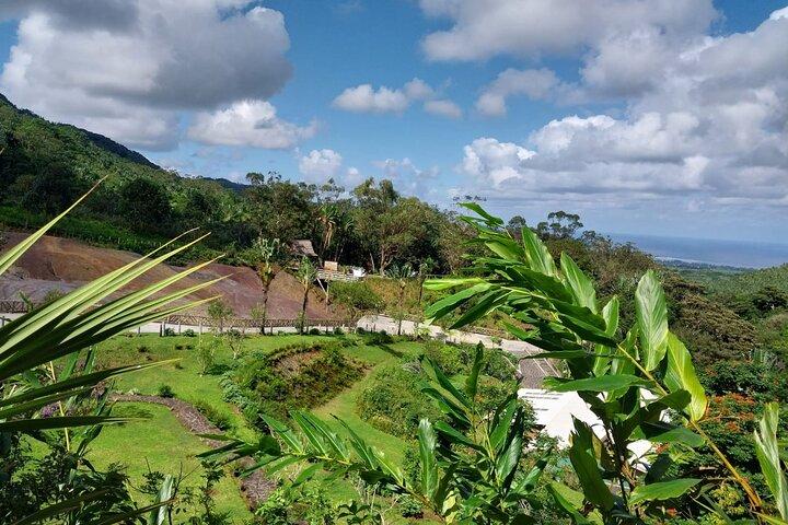 Private Tour in South of Mauritius