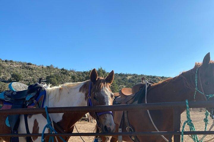 Grand Canyon Horseback Tour