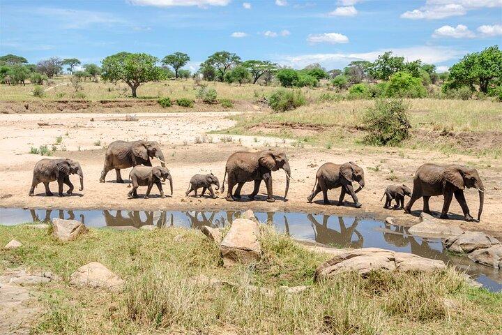 2 Days Wildlife Safari in Tanzania