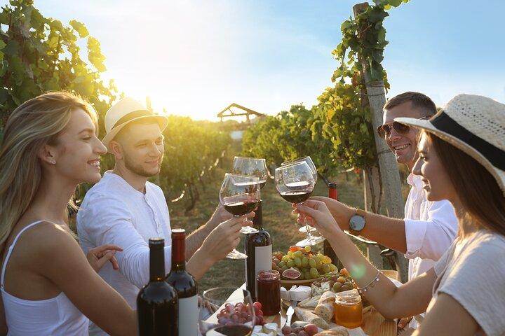 Tuscany: Chianti Semi-Private Wine Tasting and Dinner in Vineyard