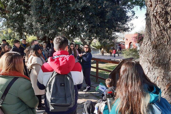 Colonia Day Trip & Optional Private Transfers from Buenos Aires