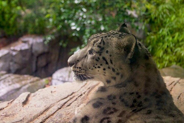 Central Park Zoo and 3hrs Manhattan Walking Tour