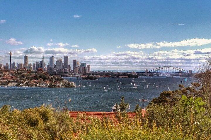 Sydney Shores and Suburbs- Watsons Bay and Bondi Beach Tour