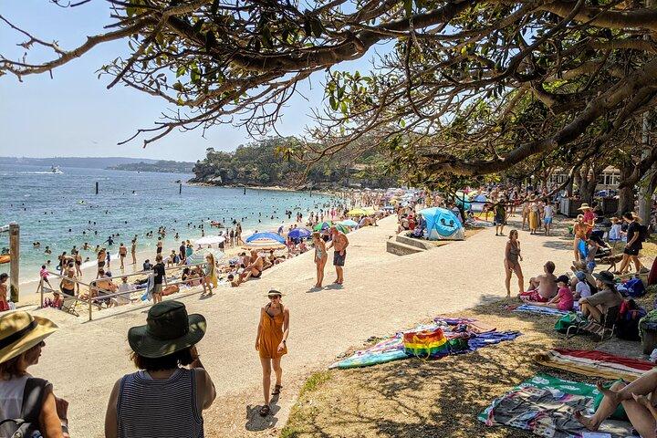 Sydney Shores and Suburbs- Watsons Bay and Bondi Beach Tour