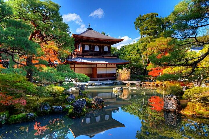 Kyoto Highlights Private Tour with Pick and Drop