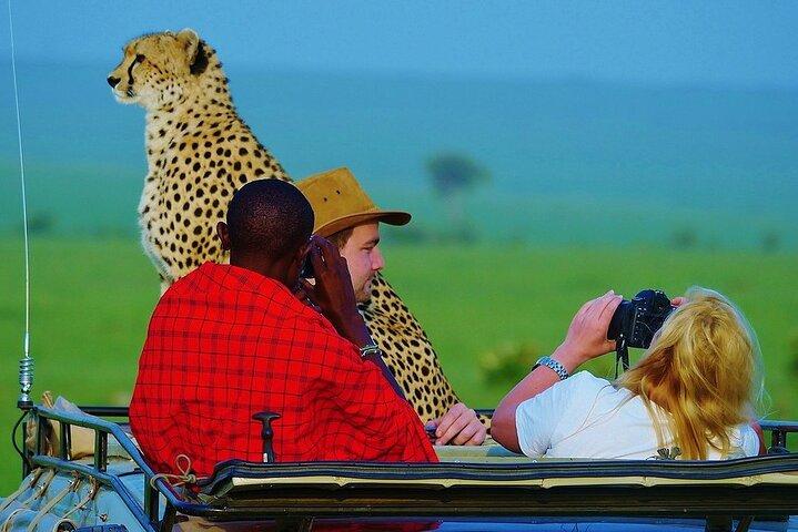 7 Days Taste of Kenya Safari Adventure Budget Package on 4x4 Jeep
