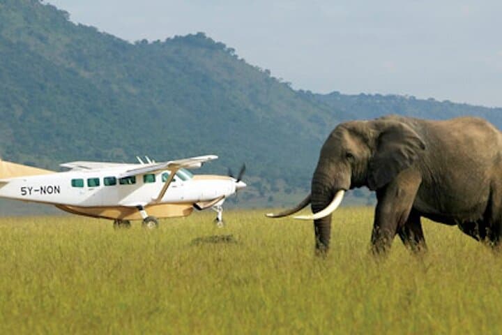 9 Days Best Of Kenya Wildlife Luxury Safari with Flights