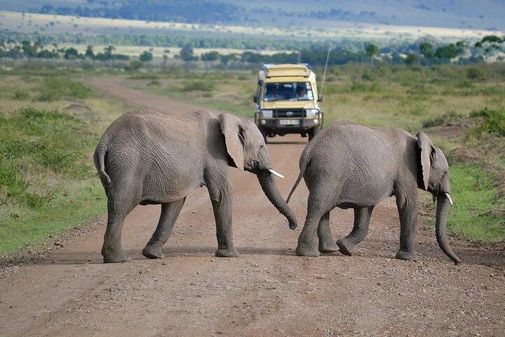 4-Day The Untamed Beauty of Maasai Mara & Nakuru at Sarova Lodges