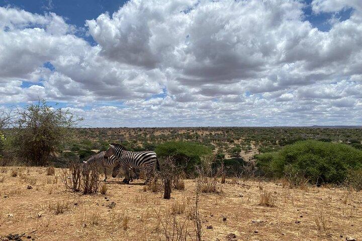 Wild Tanzania Safari: Arusha, Tarangire, Ngorongoro, Serengeti