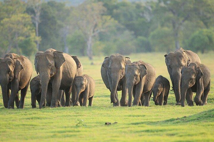 4 Days Adventure from Sigiriya to Bentota Sri Lanka