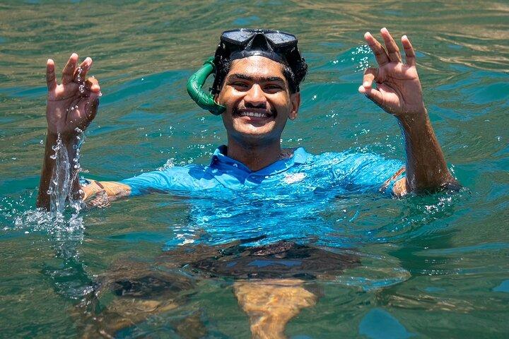 Dolphin Watching and Snorkeling Cruise Experience in Muscat