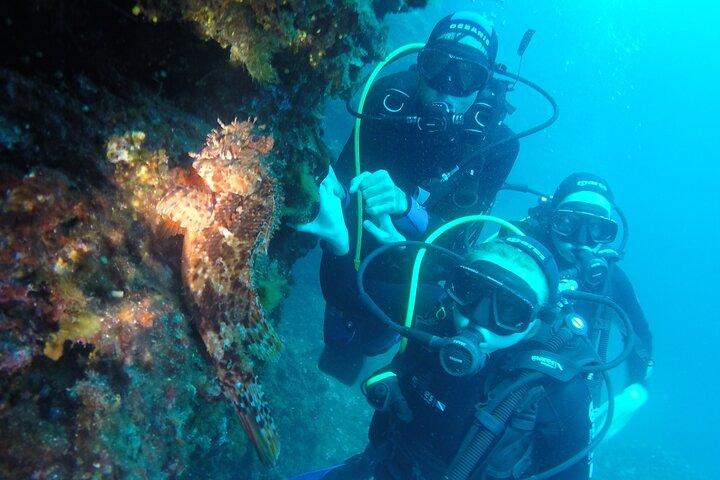 PADI Discover Scuba Diving (2 Dives) - Dubrovnik