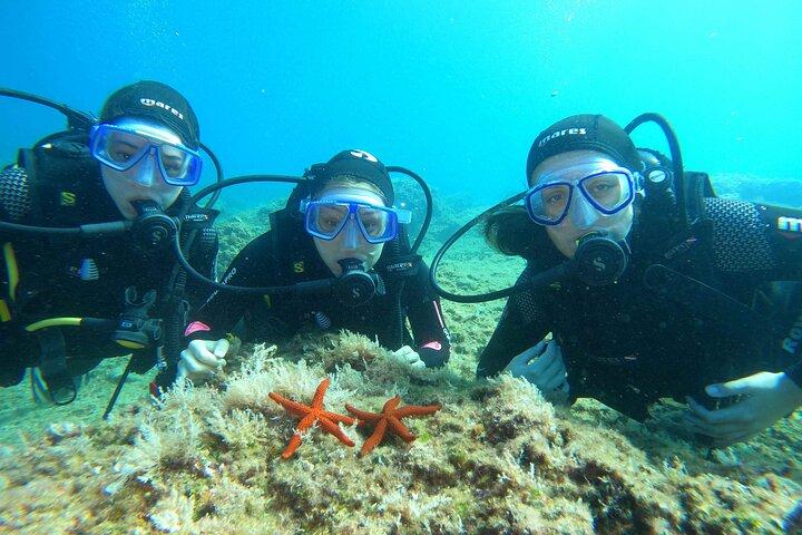 PADI Discover Scuba Diving (2 Dives) - Dubrovnik