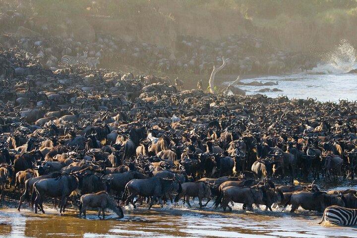 From Plains to Crater: 3-Day Mixed Safari in Northern Tanzania -