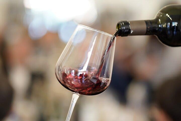 Premium Argentinian Wines and Malbec Tasting & Urban Art Tour