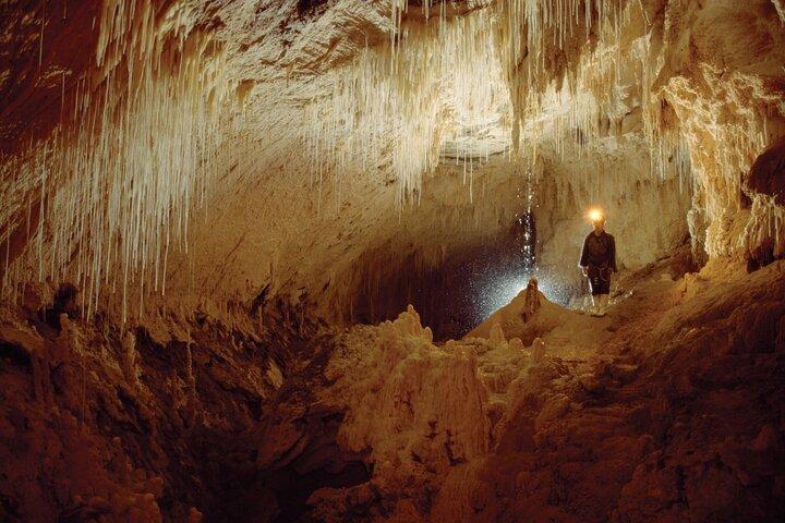 WAITOMO - Twin Caves Discovery - Private Day Tour from Auckland