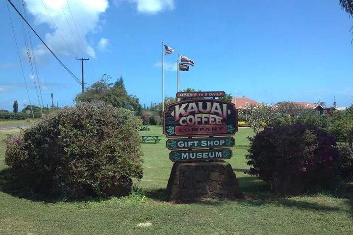 Kauai Shore Excursion - Waimea Canyon Adventure Tour - Nawiliwili