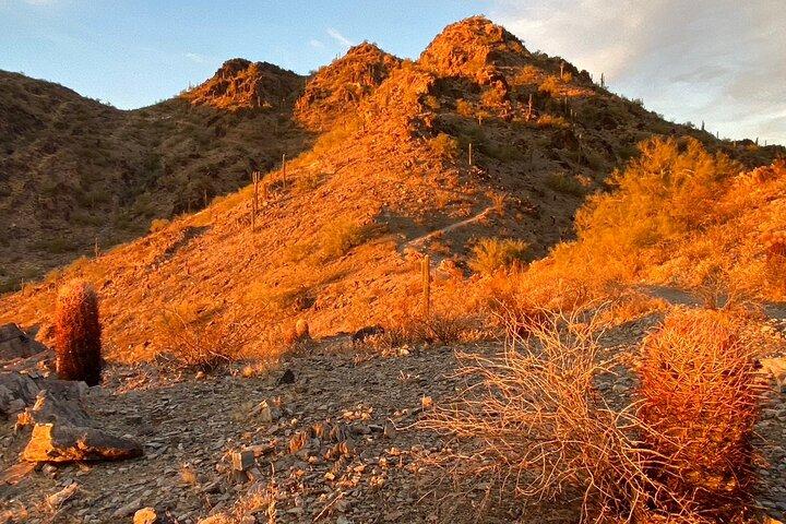 Spectacular Sunrise Guided Hike in Phoenix, Arizona