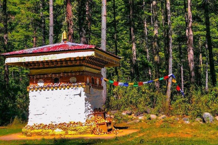 Bhutan Spiritual and Cultural Escapade