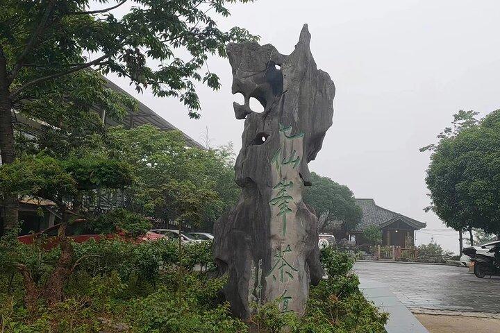 Qixianfeng Tea Plantation Tour in Yangshuo