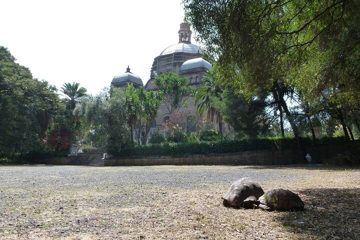 Hidden Treasures of Addis Ababa - Food, Culture and History Tour
