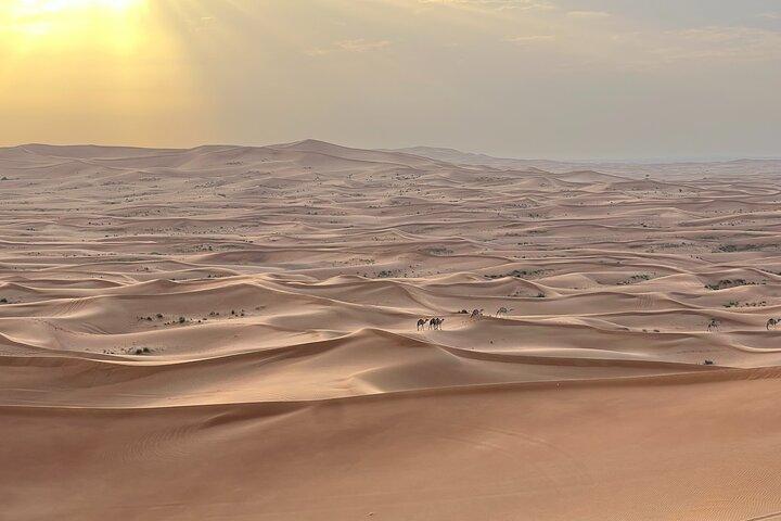 Dubai Desert Safari, Camel, Live BBQ & Shows (Private 4x4 Car)