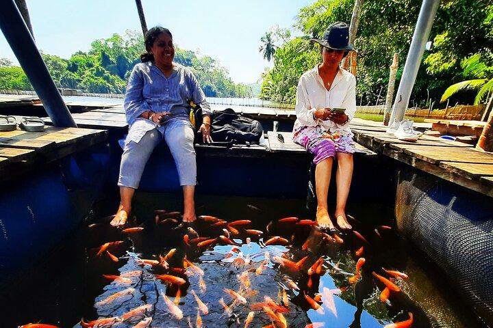 Private Day Tour of the Southern Coast from Colombo/Negambo