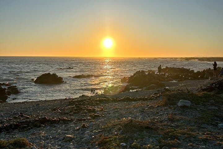 3 Day Safari and Coastal Tour from Cape Town