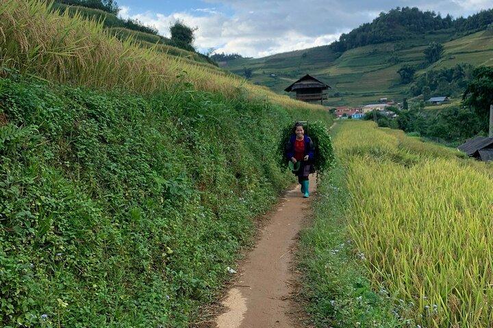 Private One Day Excursion in Mai Chau